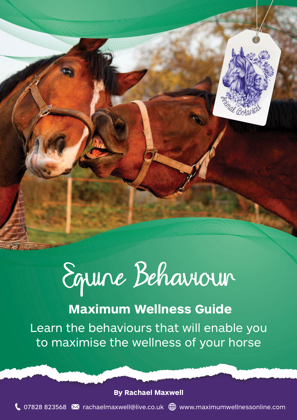 Equine Behaviour