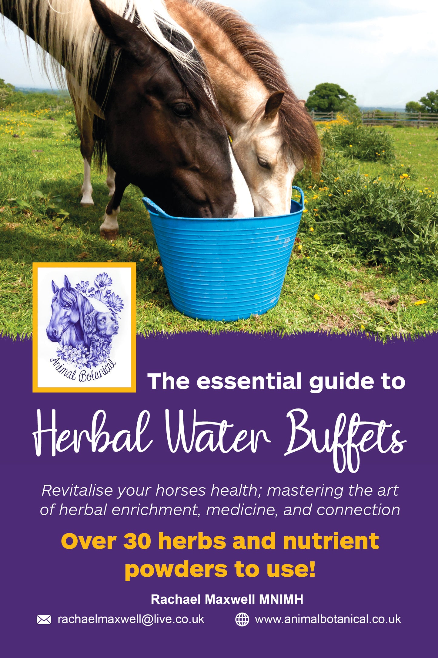 The Essential Guide to Equine Herbal Water Buffets