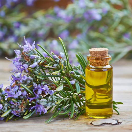 Rosemary Essential Oil