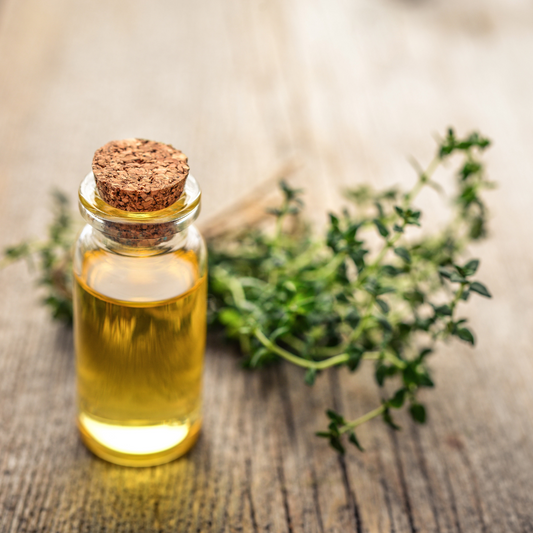 Thyme (Wild) Essential Oil