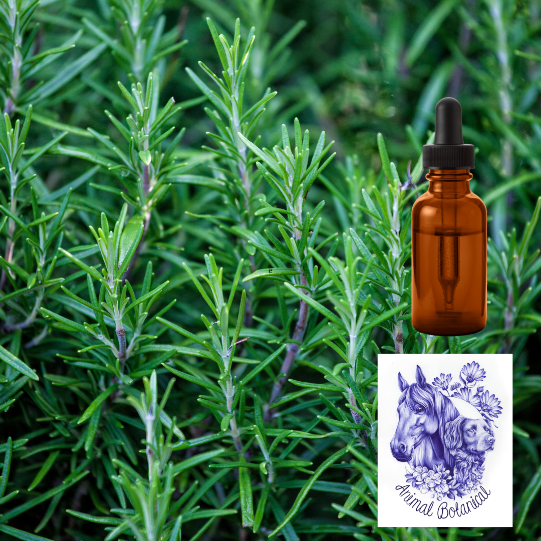 Human Consultation and Prescription: Folow Up