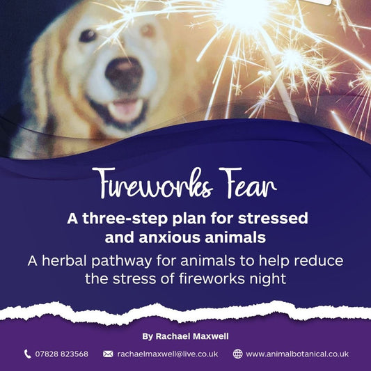 Fireworks & Fear: The 3 Step Plan