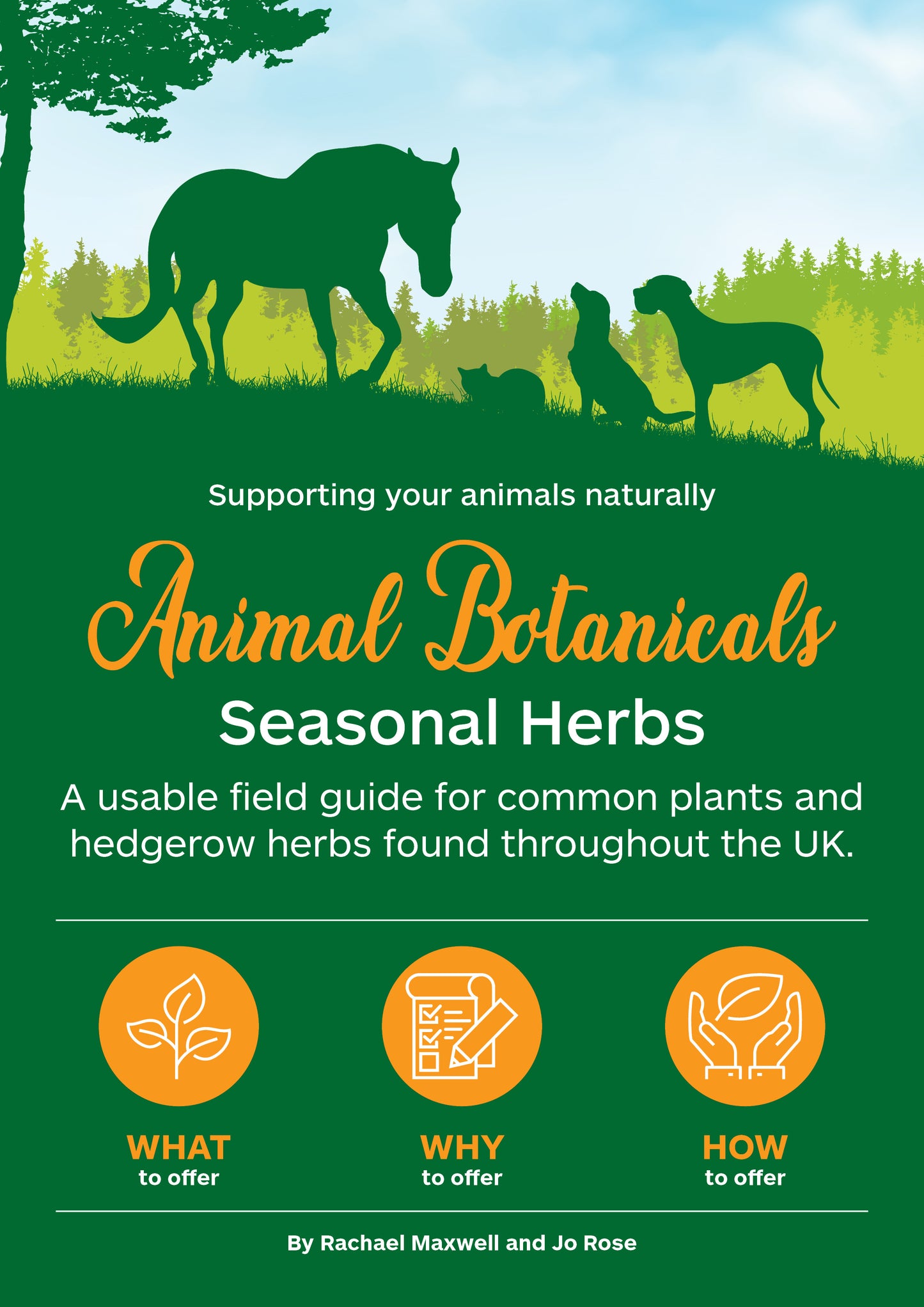 Animal Botanicals: A field guide for common plants and hedgerow herbs found throughout the UK. PURCHASE VIA AMAZON ON THE BELOW LINK