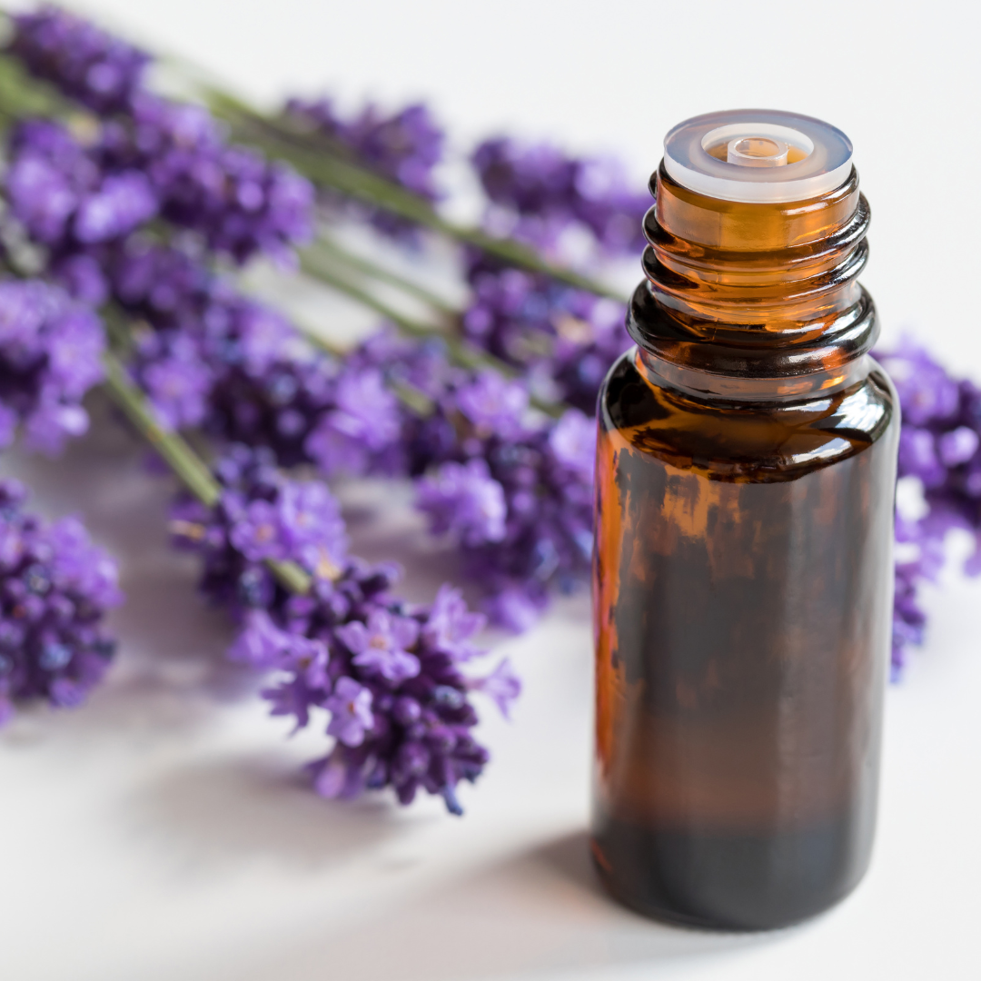 Lavender Essential Oil