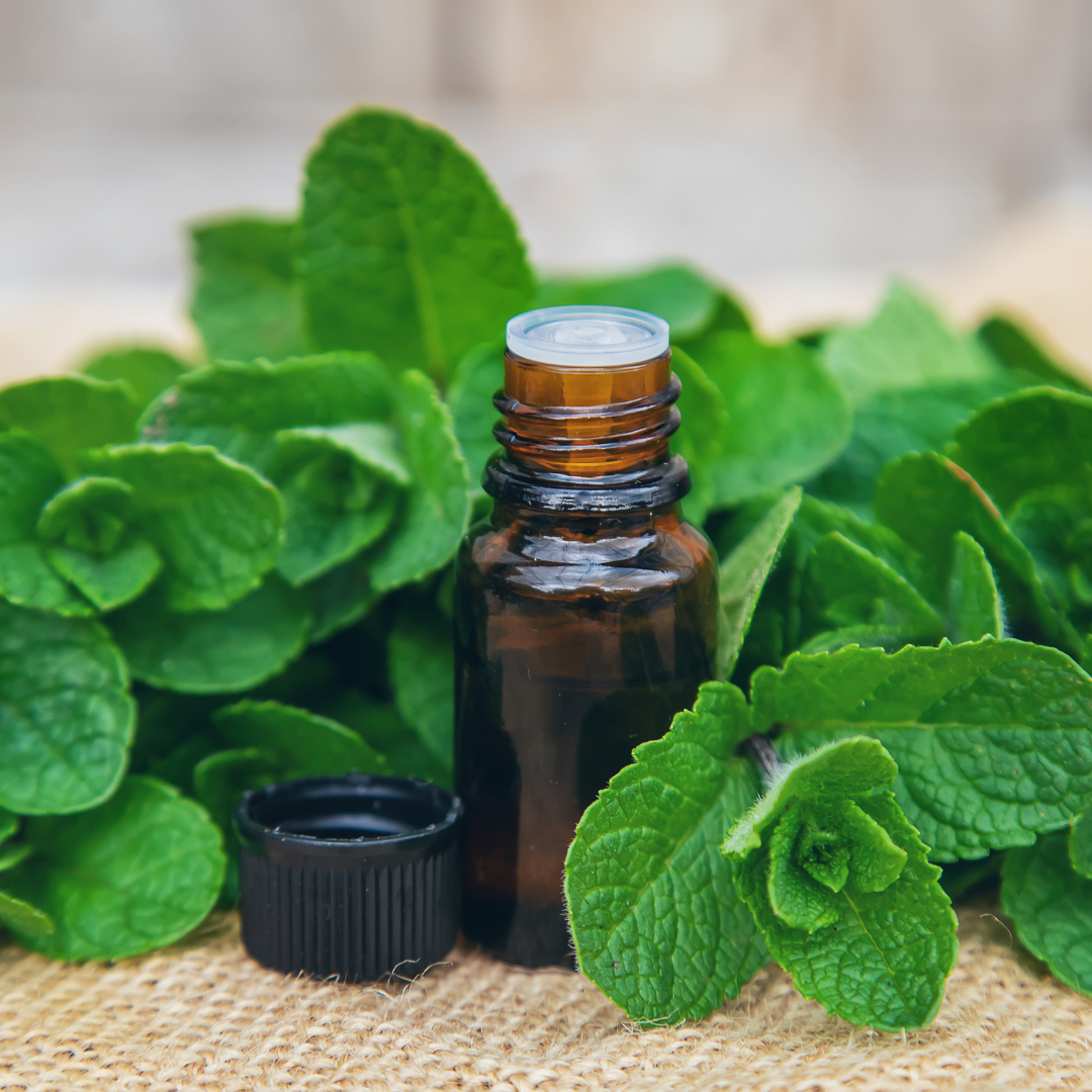 Peppermint Essential Oil